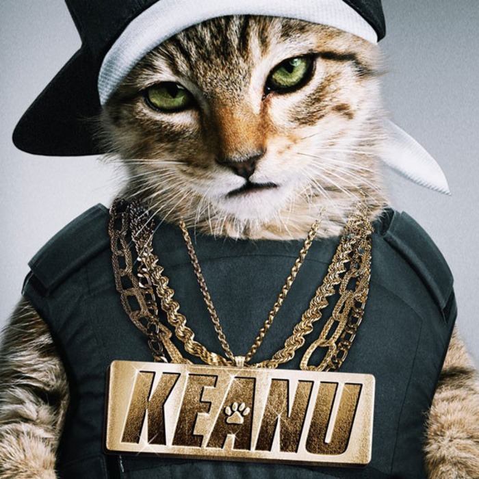 Ranking The Hottest Cat Movie Stars From Keanu To The Hunger Games E Online
